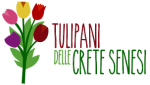 logo_tulipani-1-qjgbrqf2michvnv4xuxfnr1bh47y2jxowpivg94w5u